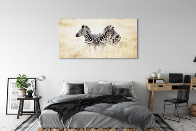 Pintura em tela Campo de zebras