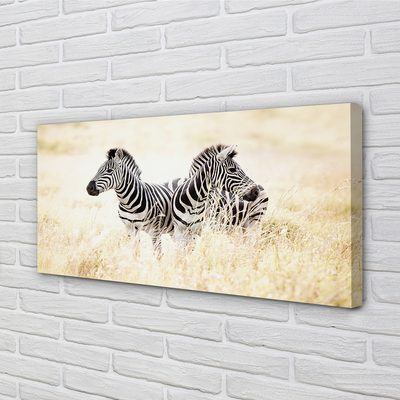 Pintura em tela Campo de zebras
