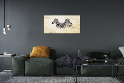 Pintura em tela Campo de zebras