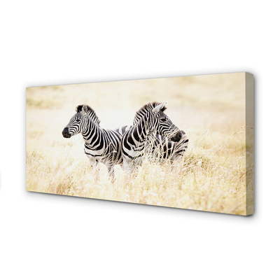Pintura em tela Campo de zebras