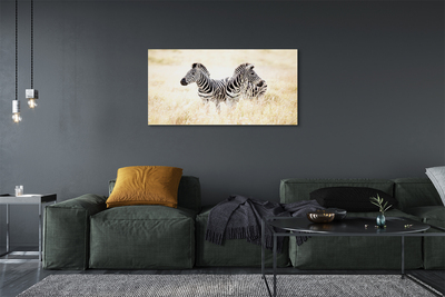 Pintura em tela Campo de zebras