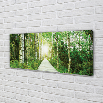 Pintura em tela Bétulas da floresta da estrada