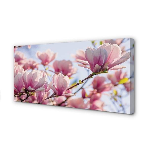 Pintura em tela Magnólia