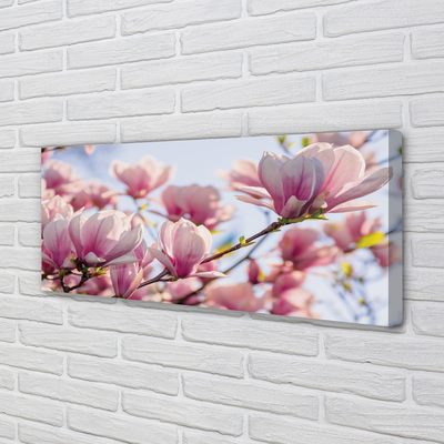 Pintura em tela Magnólia