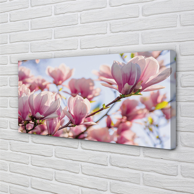 Pintura em tela Magnólia