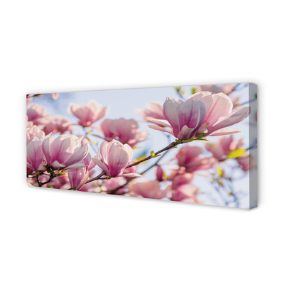Pintura em tela Magnólia