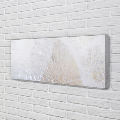 Quadro em tela Resumo de gotas de dente-de-leão