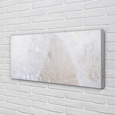 Quadro em tela Resumo de gotas de dente-de-leão