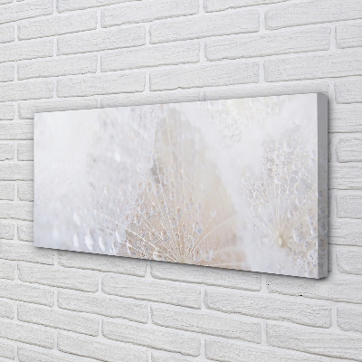 Quadro em tela Resumo de gotas de dente-de-leão