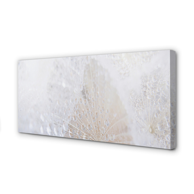 Quadro em tela Resumo de gotas de dente-de-leão