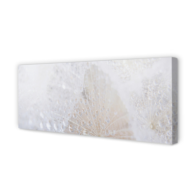 Quadro em tela Resumo de gotas de dente-de-leão