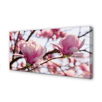 Quadro em tela Árvores de magnólia