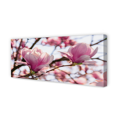 Quadro em tela Árvores de magnólia