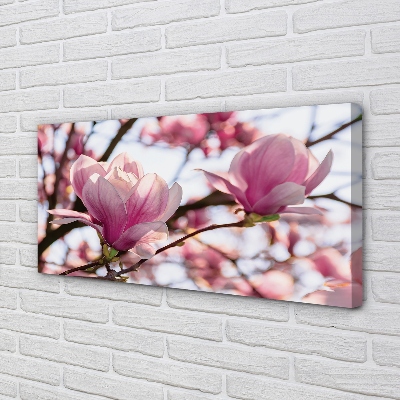 Quadro em tela Árvores de magnólia