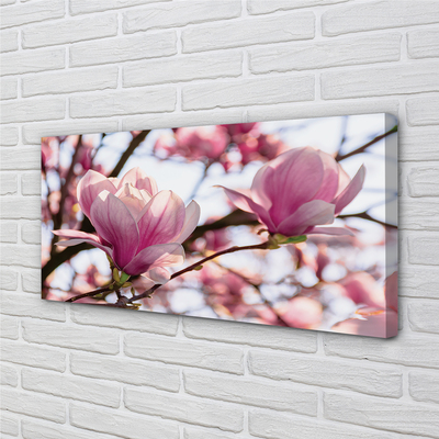 Quadro em tela Árvores de magnólia