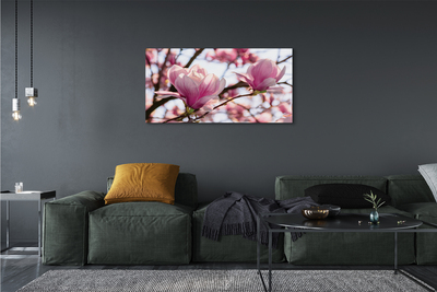 Quadro em tela Árvores de magnólia