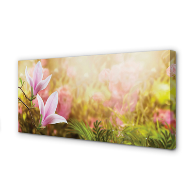 Pintura em tela Sol de magnólia