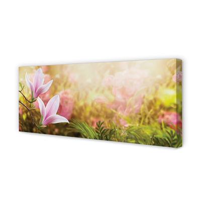 Pintura em tela Sol de magnólia