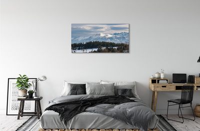 Pintura em tela Montanhas neve de inverno