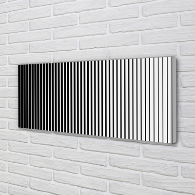 Pintura em tela Transição de listras de zebra