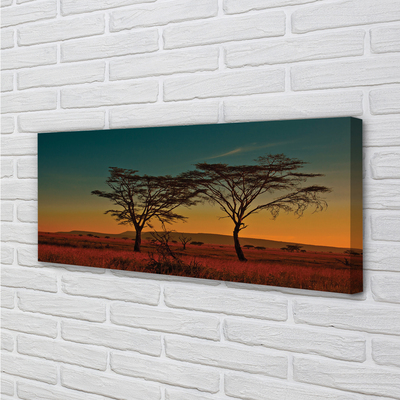 Pintura em tela Céu de árvore