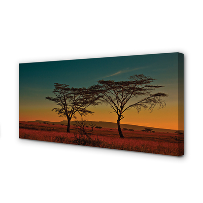 Pintura em tela Céu de árvore