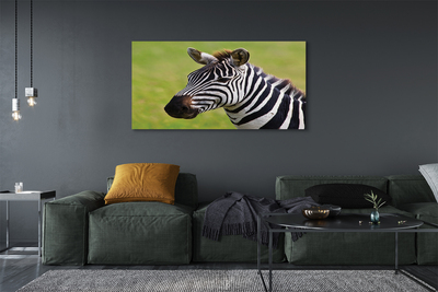 Quadro em tela Costelas