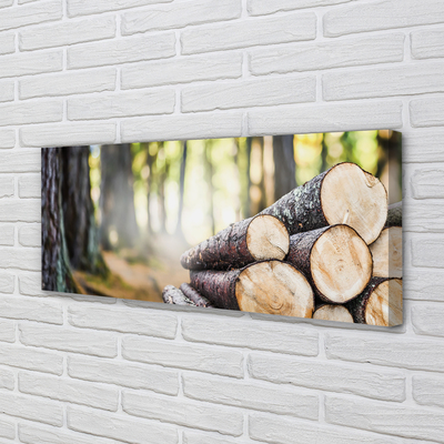 Pintura em tela Madeira natureza floresta