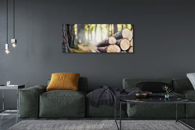 Pintura em tela Madeira natureza floresta