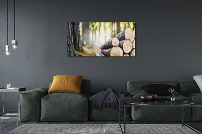 Pintura em tela Madeira natureza floresta