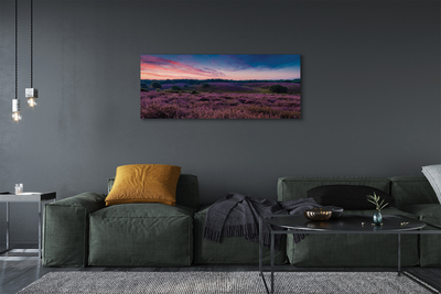 Pintura em tela Campo de urze