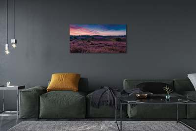 Pintura em tela Campo de urze