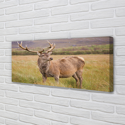 Quadro em tela Campo de veados