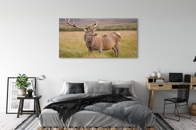 Quadro em tela Campo de veados