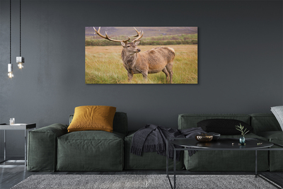 Quadro em tela Campo de veados