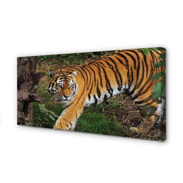 Pintura em tela Floresta do Tigre