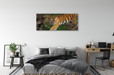 Pintura em tela Floresta do Tigre