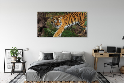 Pintura em tela Floresta do Tigre