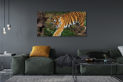 Pintura em tela Floresta do Tigre