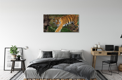 Pintura em tela Floresta do Tigre
