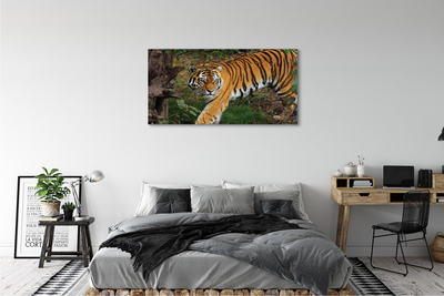 Pintura em tela Floresta do Tigre