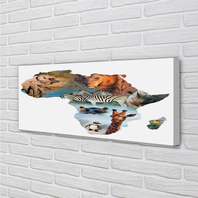 Quadro em tela zebra girafa tigre