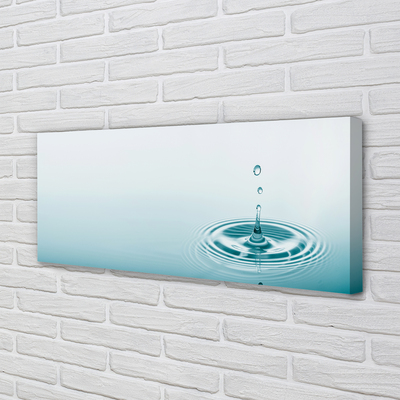 Quadro em tela Macro gota d'água