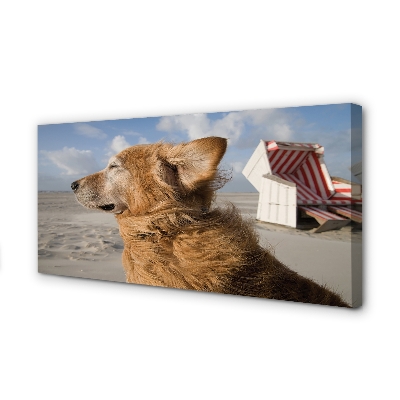 Quadro em tela Praia para cães marrons