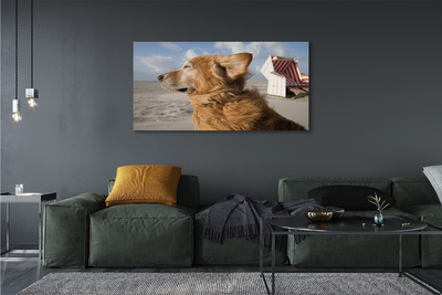 Quadro em tela Praia para cães marrons