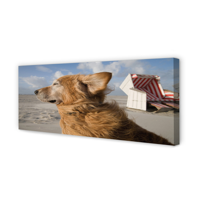 Quadro em tela Praia para cães marrons
