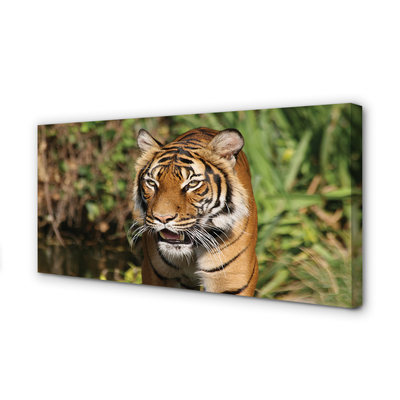 Quadro em tela Floresta do Tigre