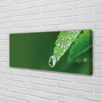 Pintura em tela Gota de água em uma folha