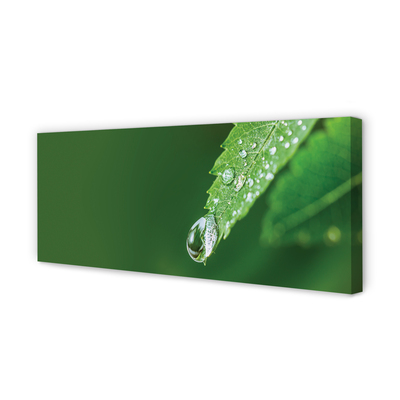 Pintura em tela Gota de água em uma folha