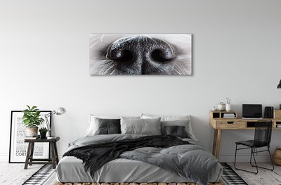 Pintura em tela nariz de cachorro